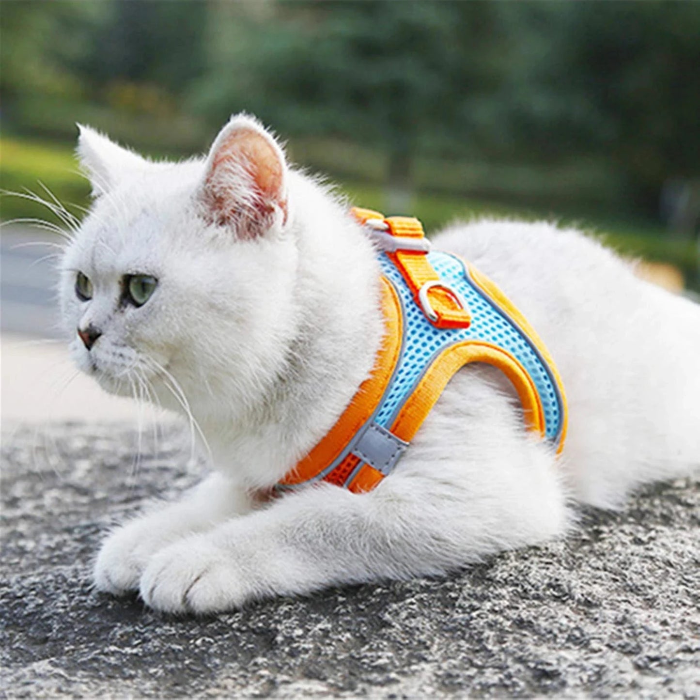 Reflective Cat Harness And Leash Set Adjustable For Cats
