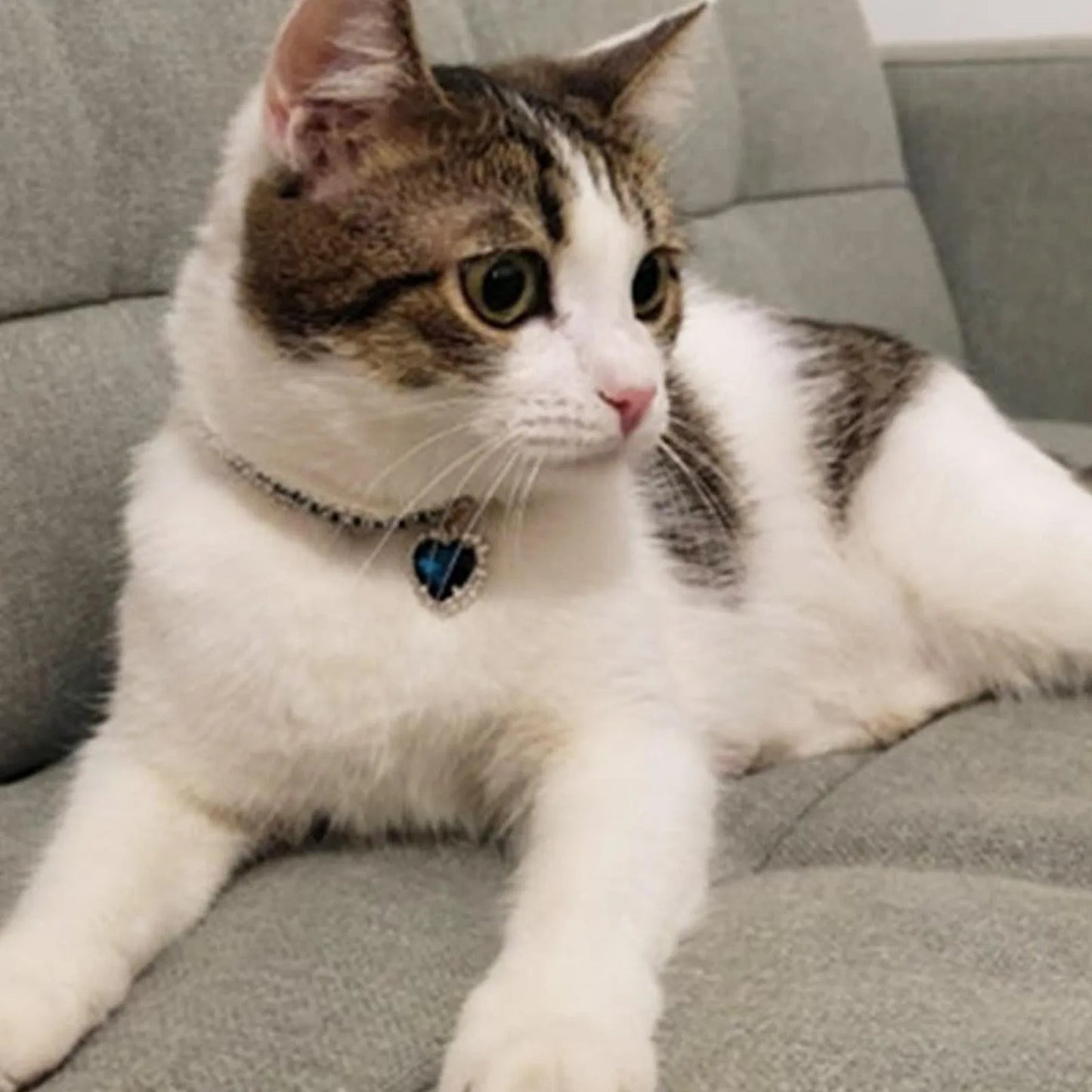 Rhinestone Diamante Dog Cat Collar Necklace Crystal Bling