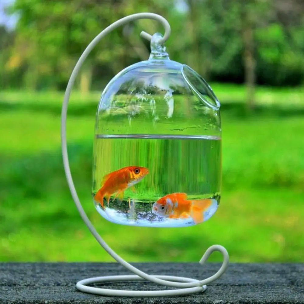 Hanging Glass Fish Bowl With Rack Holder Home Decoration