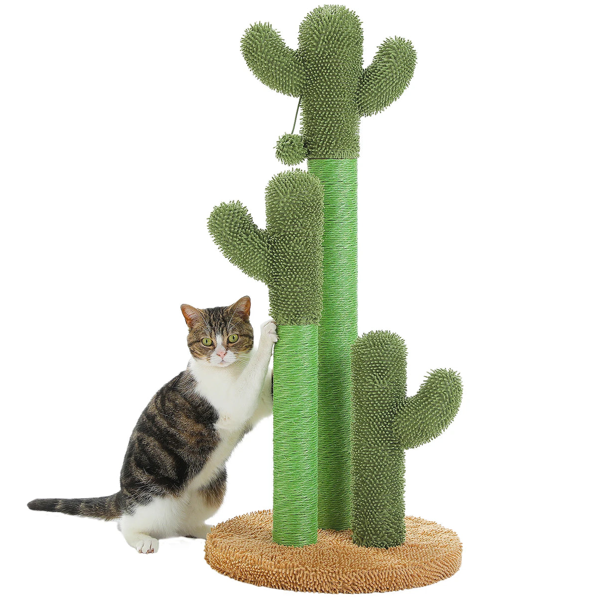 PEQULTI Cactus Cat Tree with Condo, Hammock and Scratching Post
