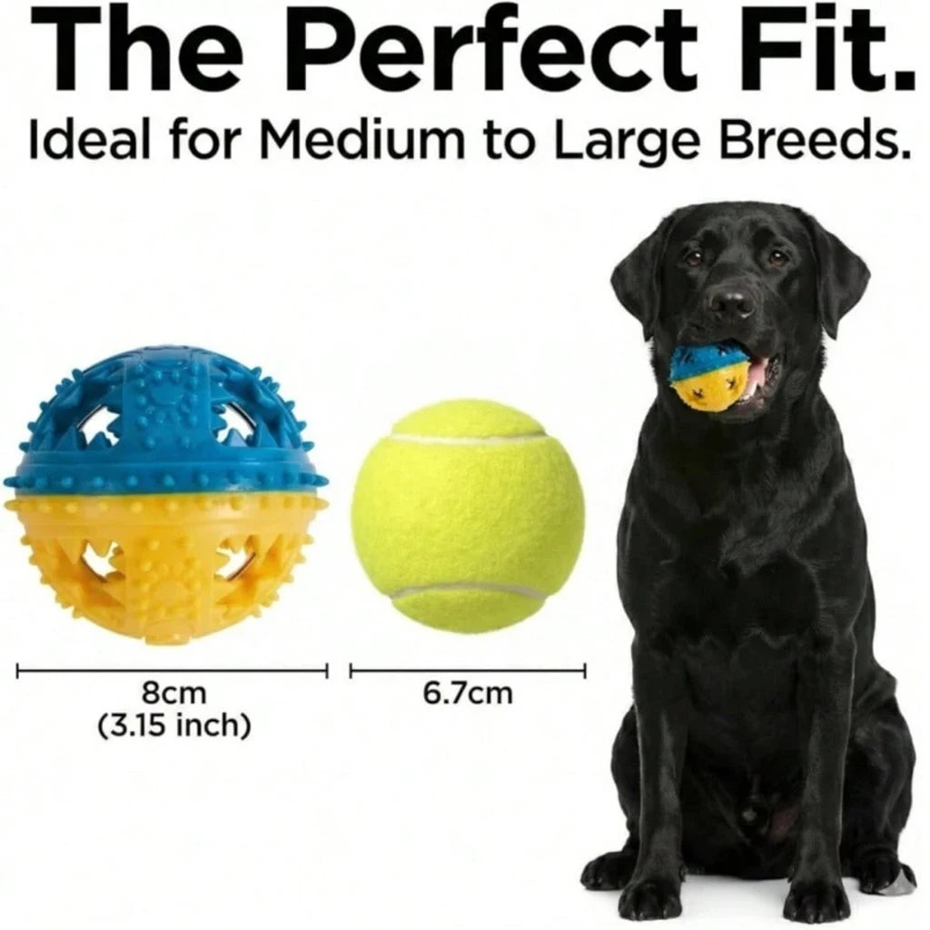 Adjustable Elevated Dog Feeder With Slow Feeder Bowl And Ball
