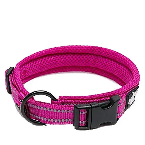 TRUELOVE Adjustable Nylon Dog Collar With Reflective Padded Design