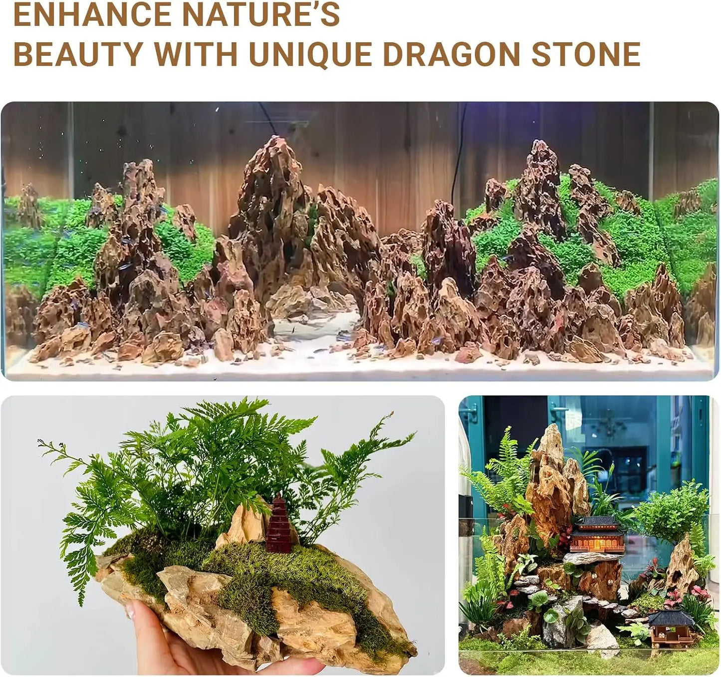 Natural Dragon Stone Rocks for Aquarium Decor and Aquascaping