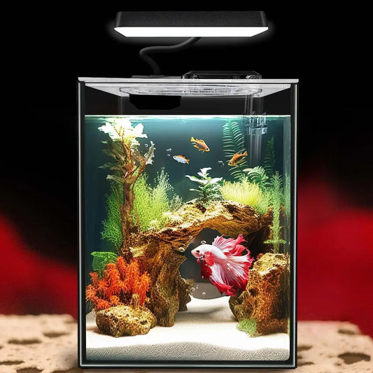 Glass Betta Aquarium Starter Kit With LED Light Power Filter