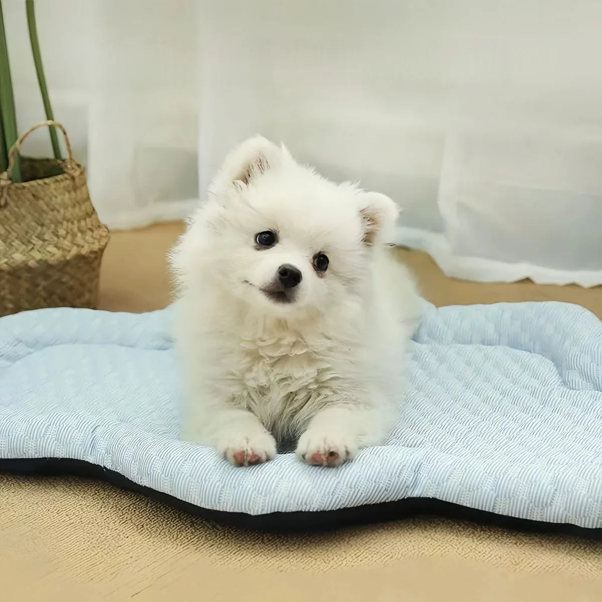 BeiYu Pet Cooling Mat For Dogs Summer Kennel Sofa Bed