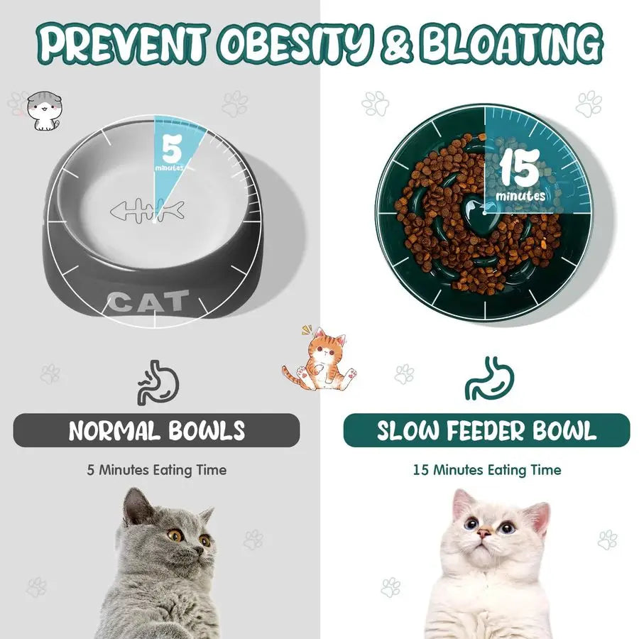Raised Cat Slow Feeder Bowls Ceramic Elevated No Spill 2Pack