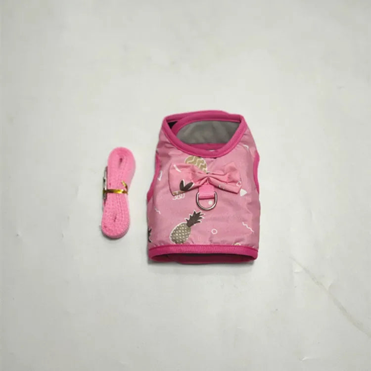 Small Animal Outdoor Walking Harness And Leash Set