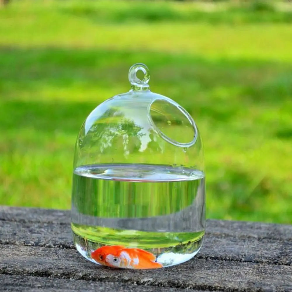 Hanging Glass Fish Bowl With Rack Holder Home Decoration