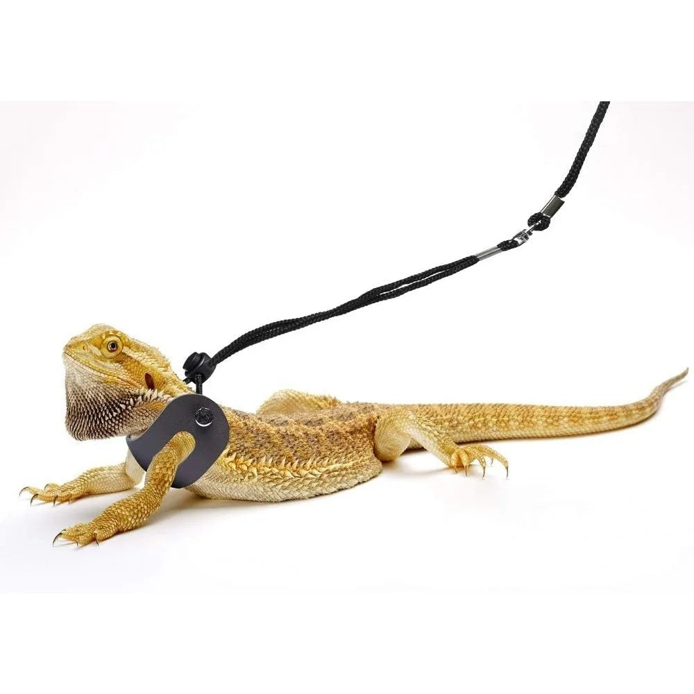 Bearded Dragon Harness and Leash Adjustable Soft Leather Reptile