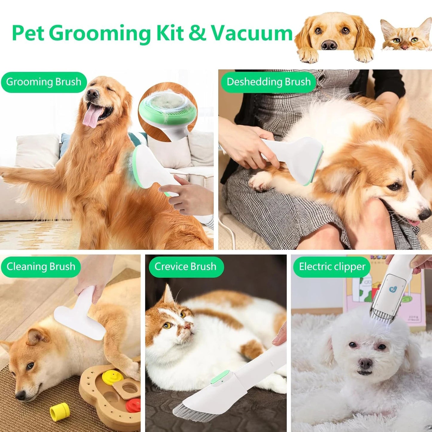 HiMISS Pet Grooming Kit With 2L Vacuum And Grooming Tools