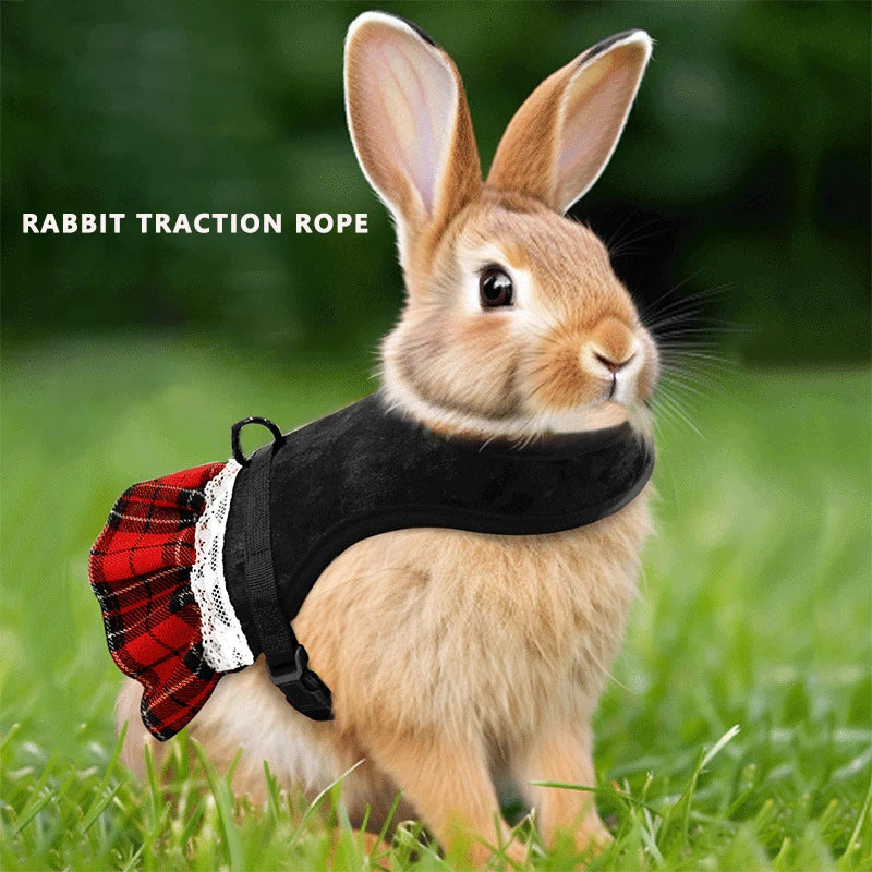 Cute Rabbit Chest Harness With Leash Pet Vest For Pets