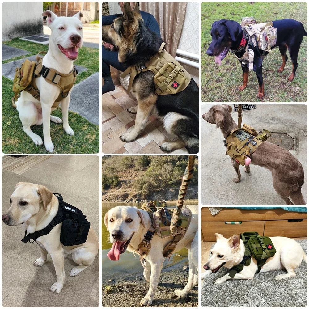 PETRAVEL Tactical Dog Harness Set with Collar Leash and Patches