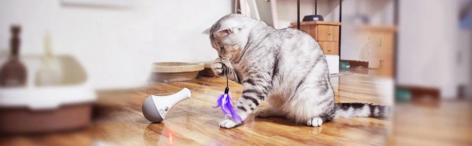 Interactive Rotating Feather Cat Toy for Indoor Exercise and Play