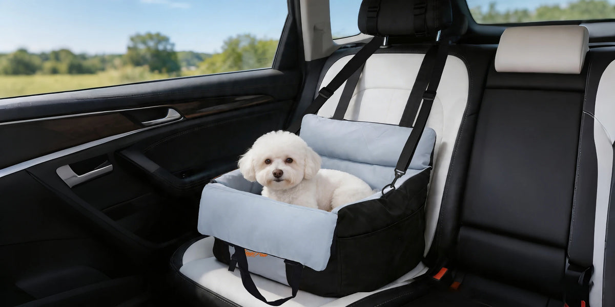 Borwart Portable Dog Booster Seat With Safety Belt And Cover