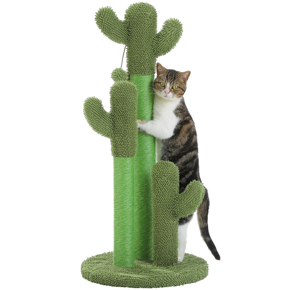 PEQULTI Cactus Cat Tree with Condo, Hammock and Scratching Post