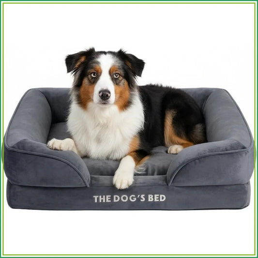 Egg Crate Foam Dog Bed With Waterproof Liner And Washable Bolster CertiPUR