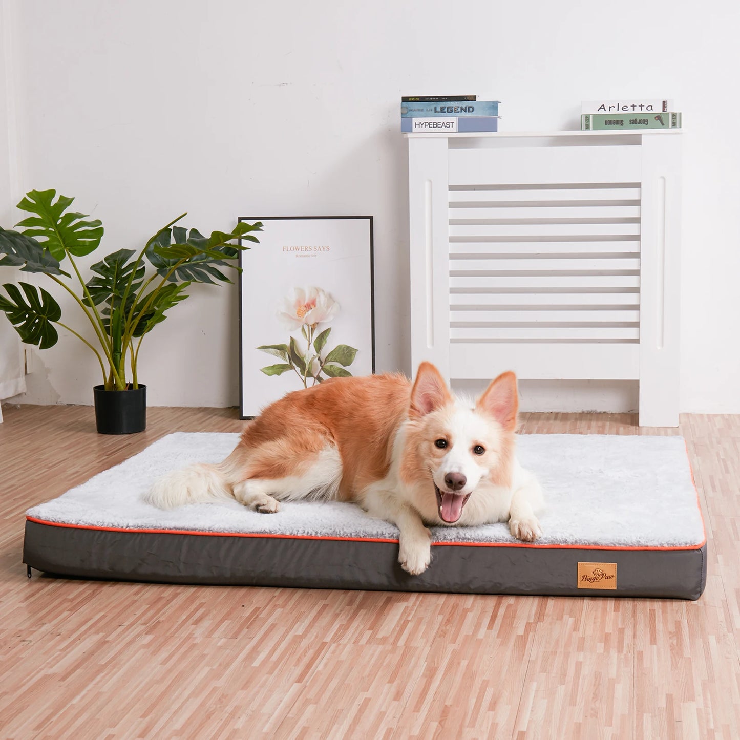 BINGOPAW Orthopedic Dog Bed Waterproof Memory Foam With Removable Cover
