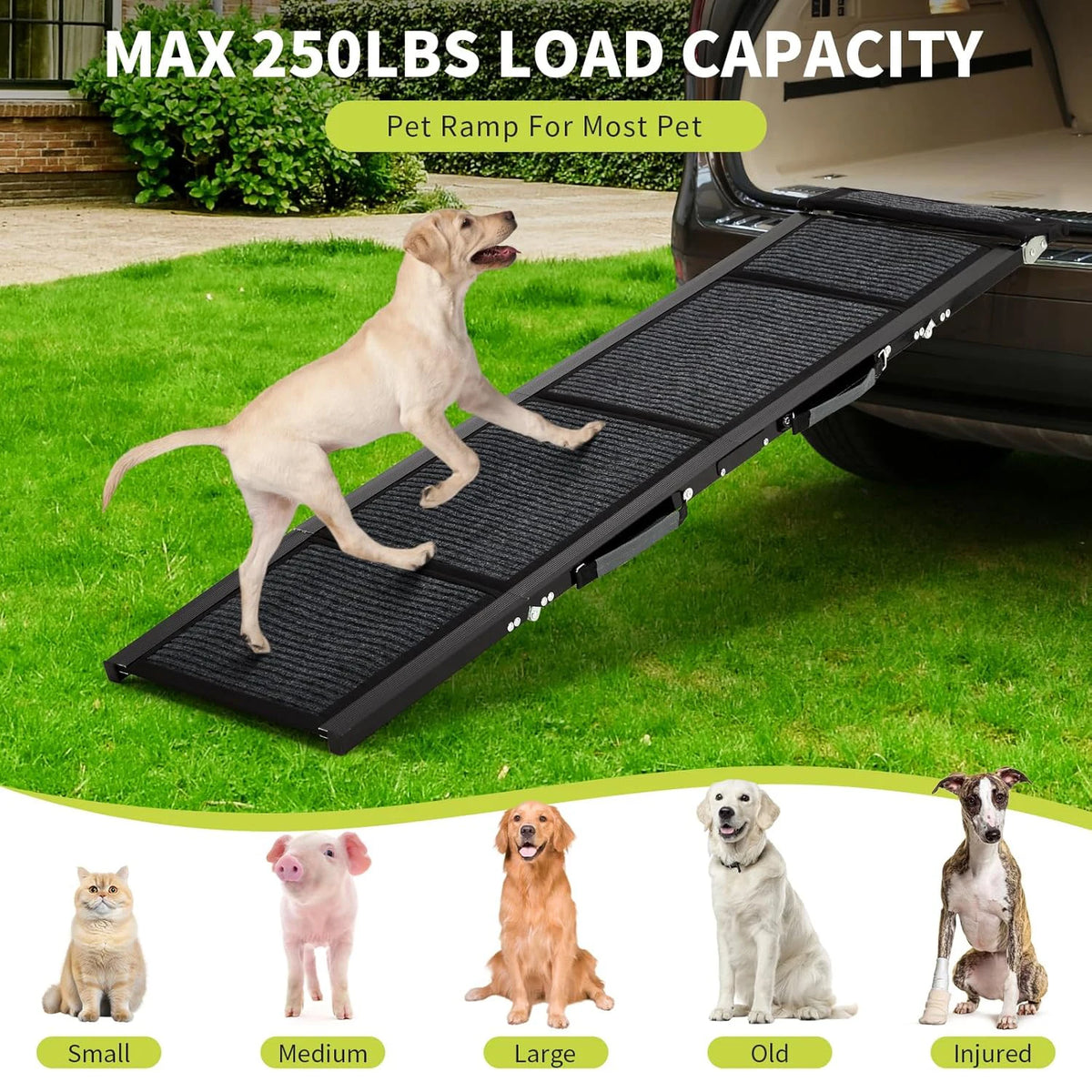 HiMISS Dog Door Folding Nonslip Pet Car Ramp for Dogs