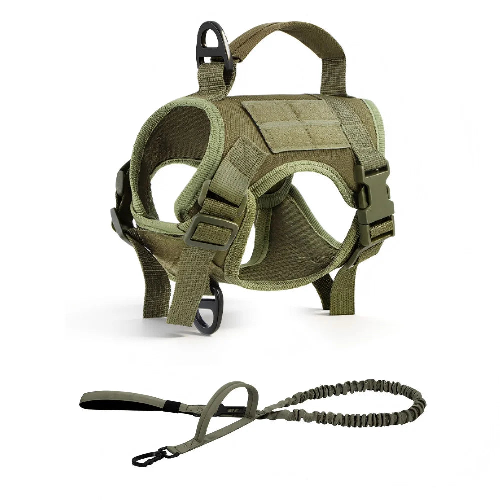 PETRAVEL Tactical Cat Harness Vest and Leash Set for Walking
