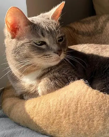 Cat Cave Premium Felt Cat Bed Indoor Cats Merino Wool