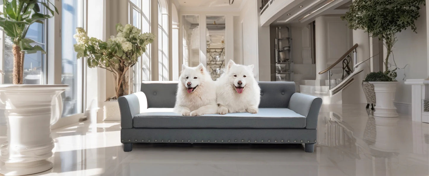 BINGOPAW Rectangle Elevated Dog Bed Durable Sofa