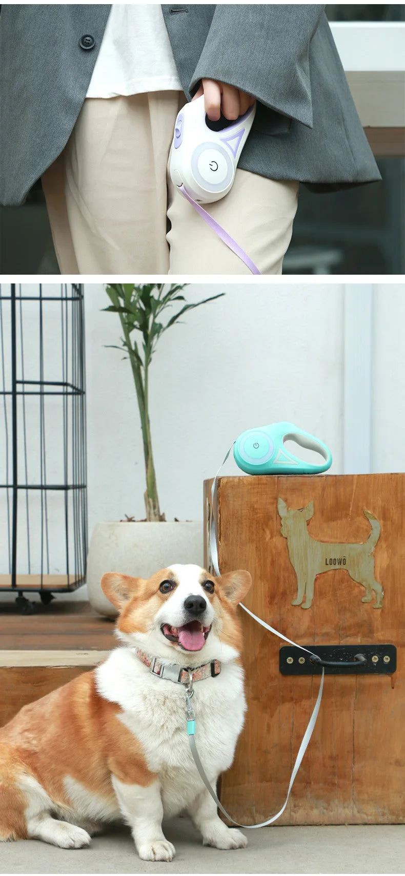 LED Luminous Automatic Retractable Dog Leash For Medium Dogs With Light