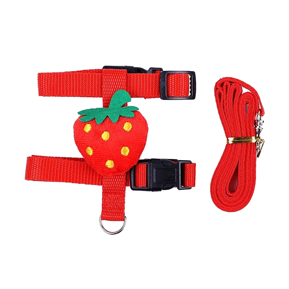 Findixpet Rabbit Cat Harness And Leash Set For Small Pets