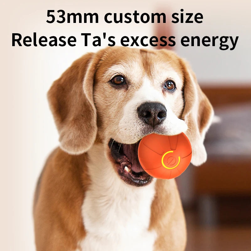 Smart Dog Ball Interactive Toy Rolling USB Rechargeable Chew Toy
