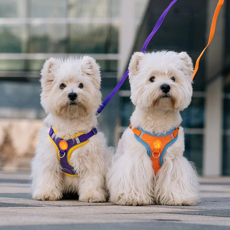 Nylon Reflective Dog Harness Vest Soft Mesh Breathable