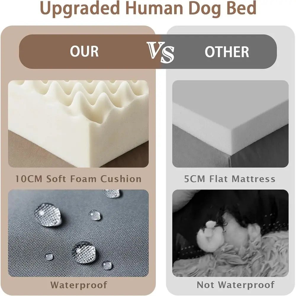 ZHUXIANG Memory Foam Dog Bed With Pillow And Strap