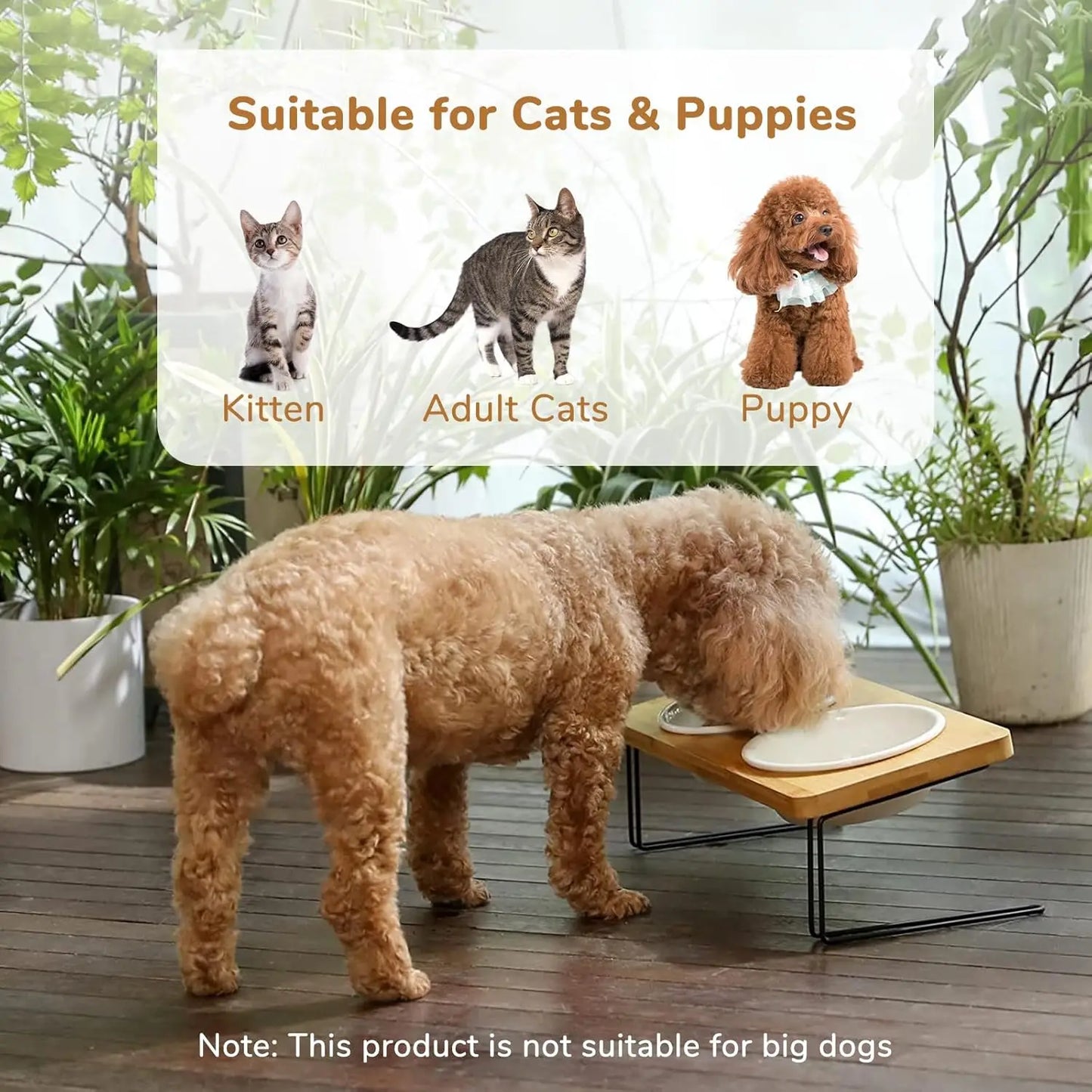 Elevated Ceramic Pet Bowls With Bamboo Stand 15 Degree Tilt