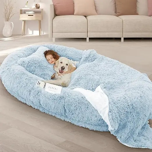 ZHUXIANG Memory Foam Dog Bed With Pillow And Strap