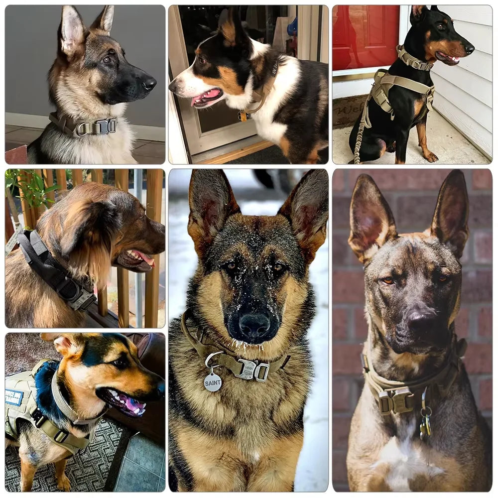 PETRAVEL Tactical Dog Training Collar Leash Set With Control Handle