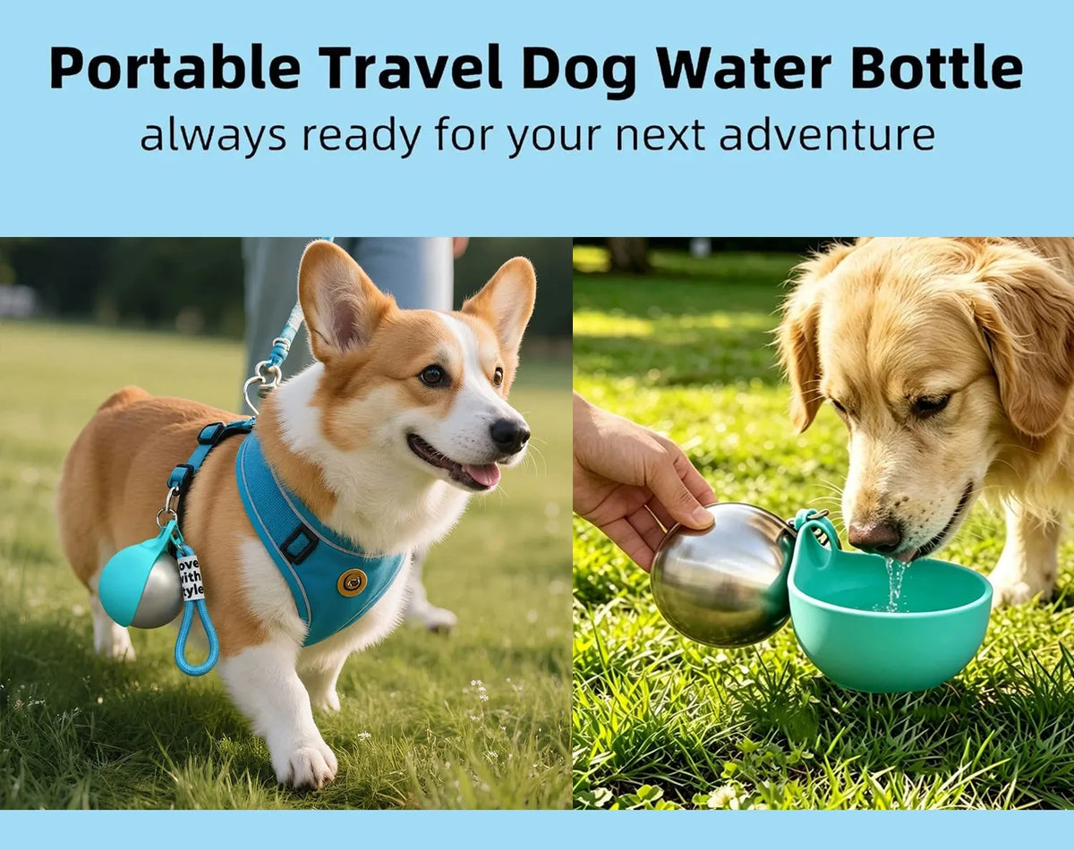 Portable Pet Water Dispenser With Foldable Bowl For Dogs and Cats