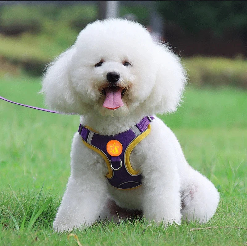 Nylon Reflective Dog Harness Vest Soft Mesh Breathable