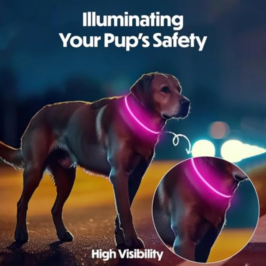 Light Up Reflective Dog Collar Adjustable and Rechargeable