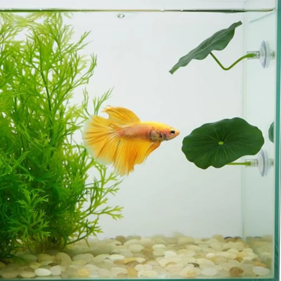 SHXI Betta Fish Leaf Hammock Aquarium Resting Spot Decoration