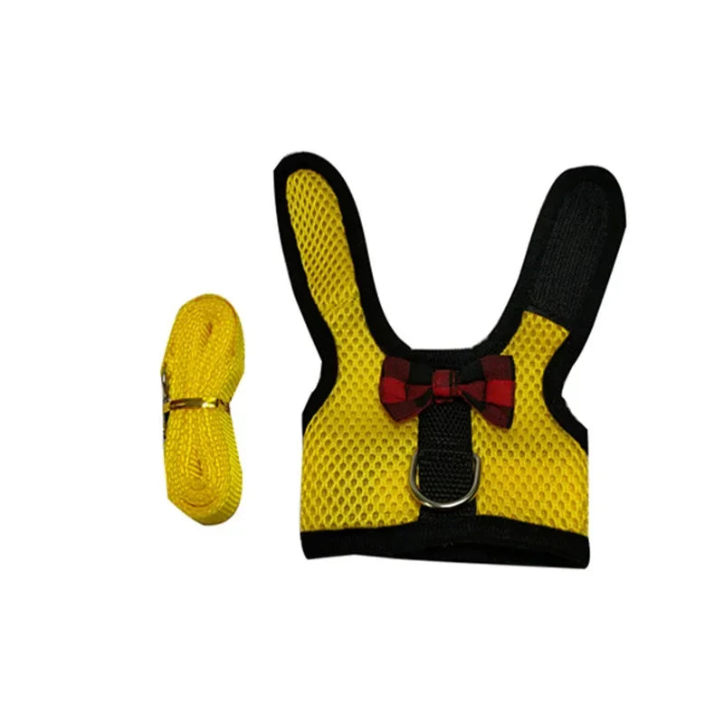 Small Animal Outdoor Walking Harness And Leash Set