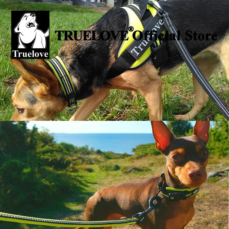 TRUELOVE Adjustable Nylon Dog Collar With Reflective Padded Design