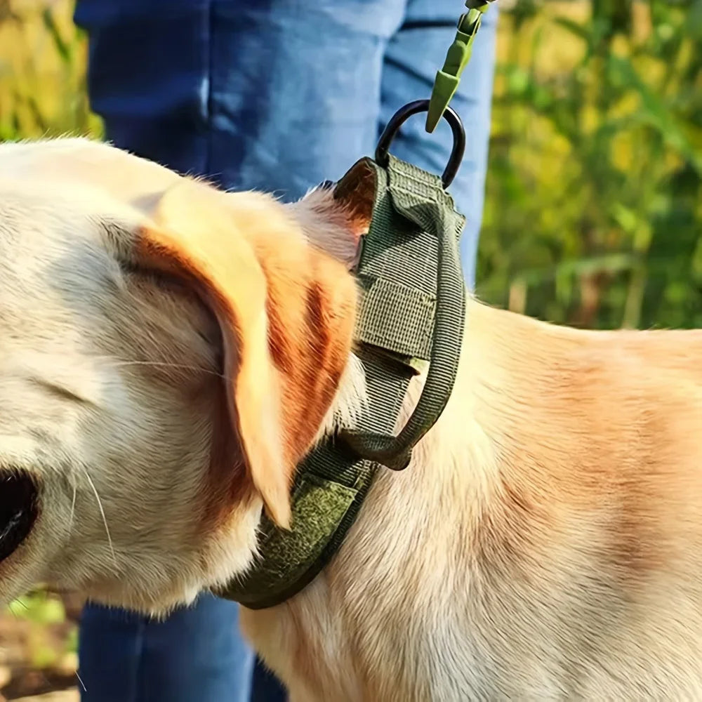 PETRAVEL Tactical Dog Training Collar Leash Set With Control Handle