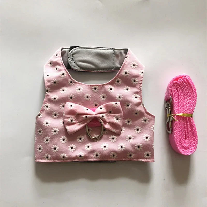Small Animal Outdoor Walking Harness And Leash Set
