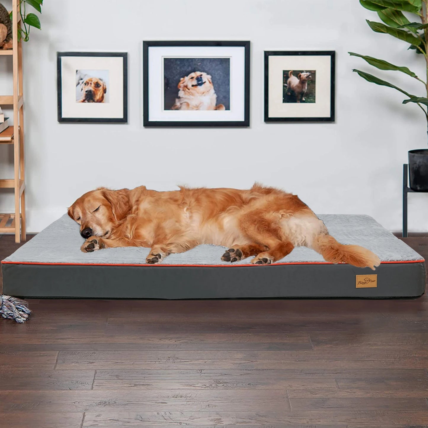 BINGOPAW Orthopedic Dog Bed Waterproof Memory Foam With Removable Cover