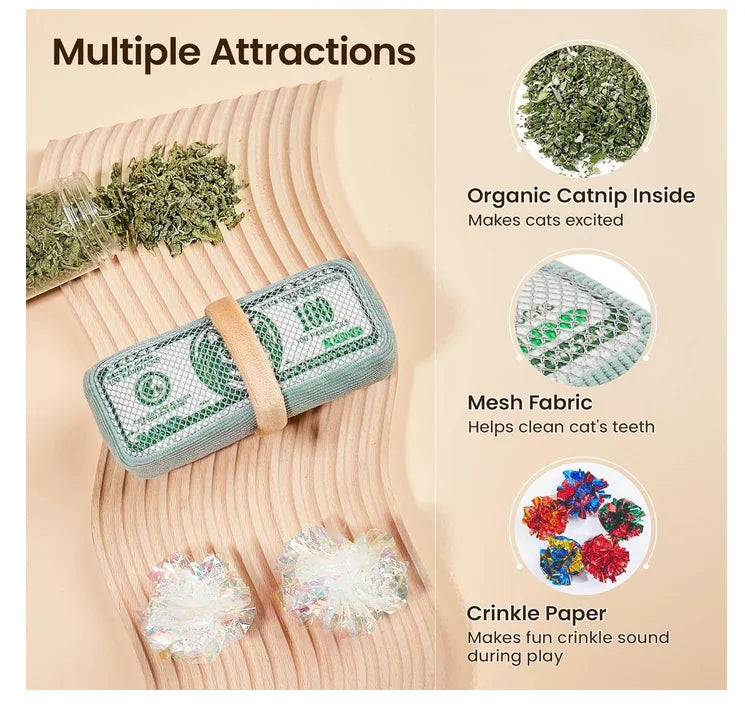 Interactive Catnip Chew Toy for Indoor Cats and Play