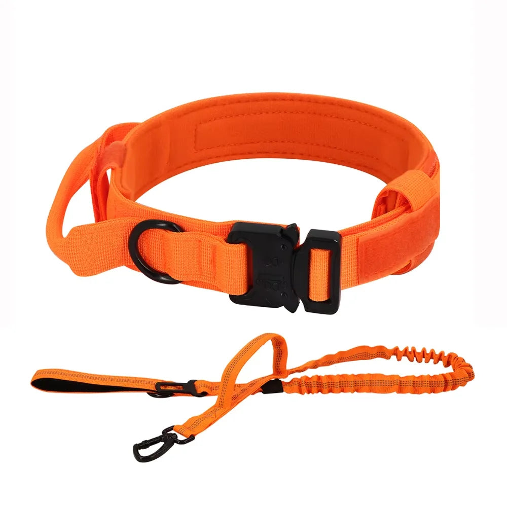 PETRAVEL Tactical Dog Training Collar Leash Set With Control Handle