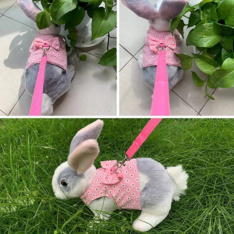 Small Animal Outdoor Walking Harness And Leash Set