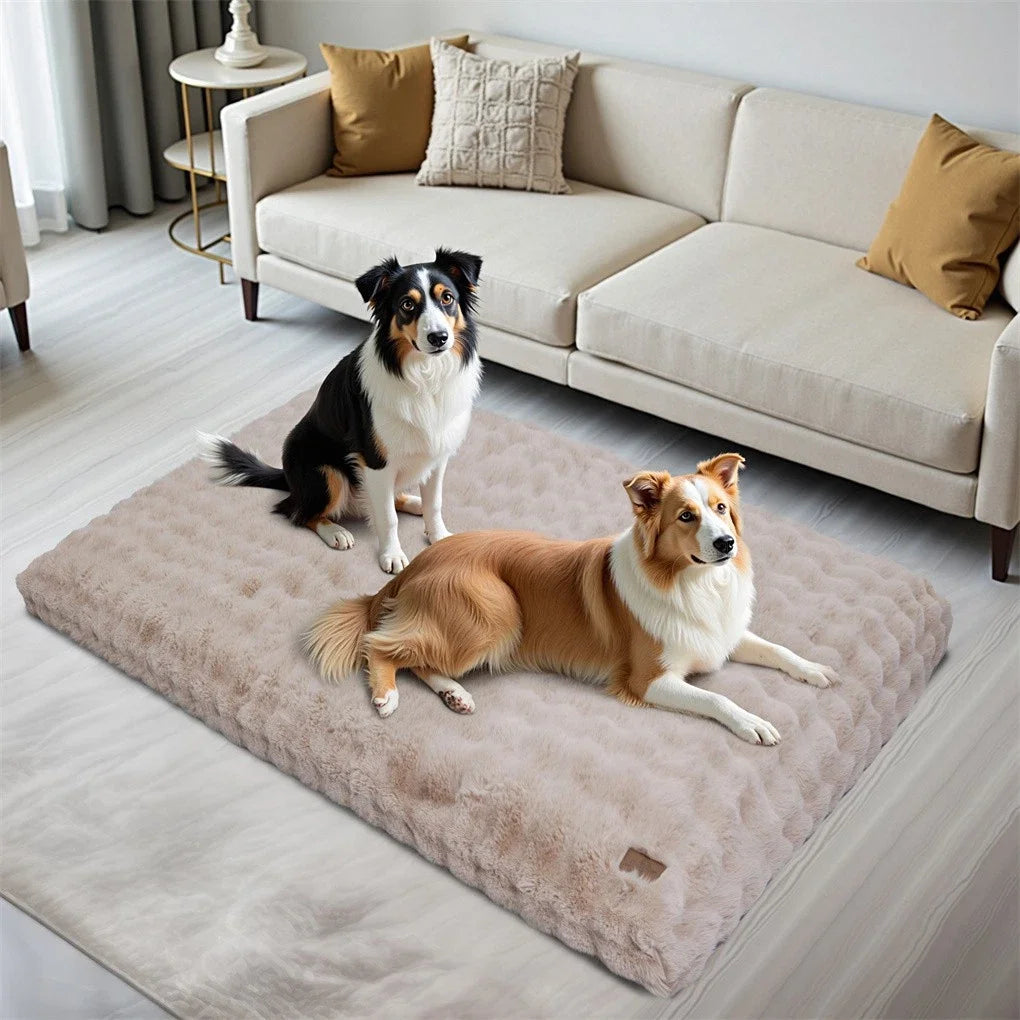 BINGOPAW Ultra Soft Dog Bed With Removable Cover Machine Washable