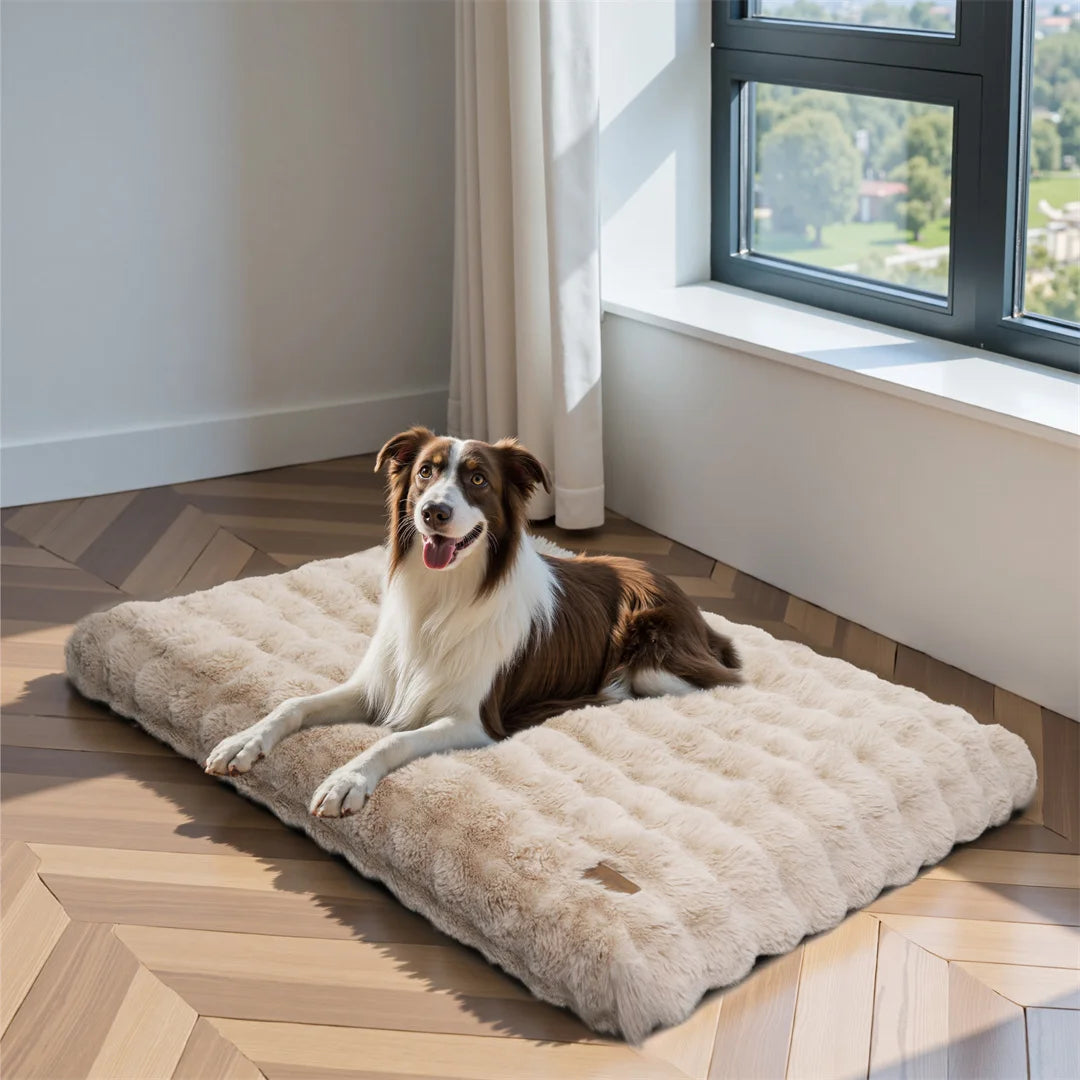 BINGOPAW Ultra Soft Dog Bed With Removable Cover Machine Washable