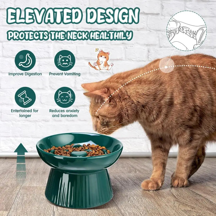 Raised Cat Slow Feeder Bowls Ceramic Elevated No Spill 2Pack