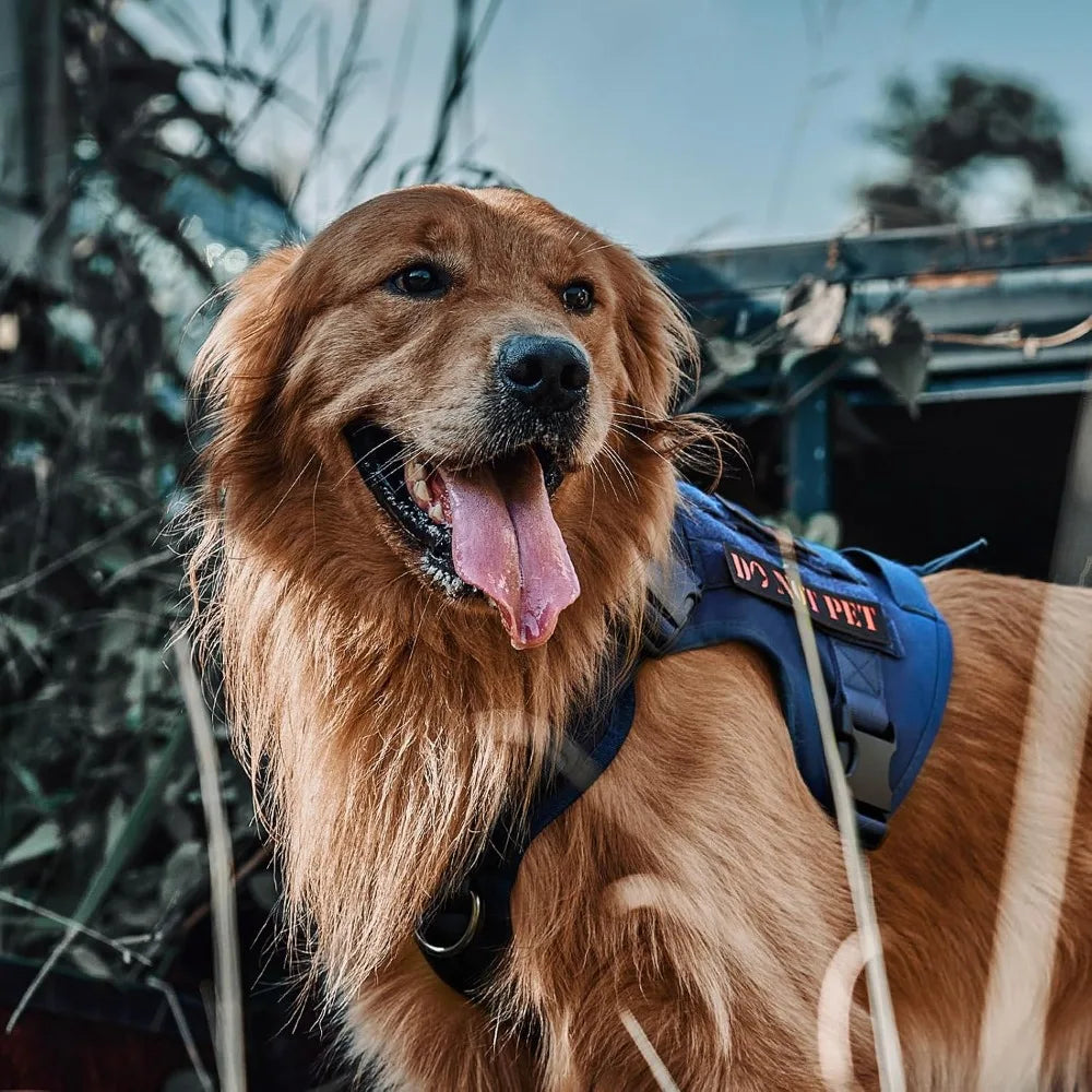 No Pull Tactical Dog Harness Vest With Hook And Loop Panels Adjustable