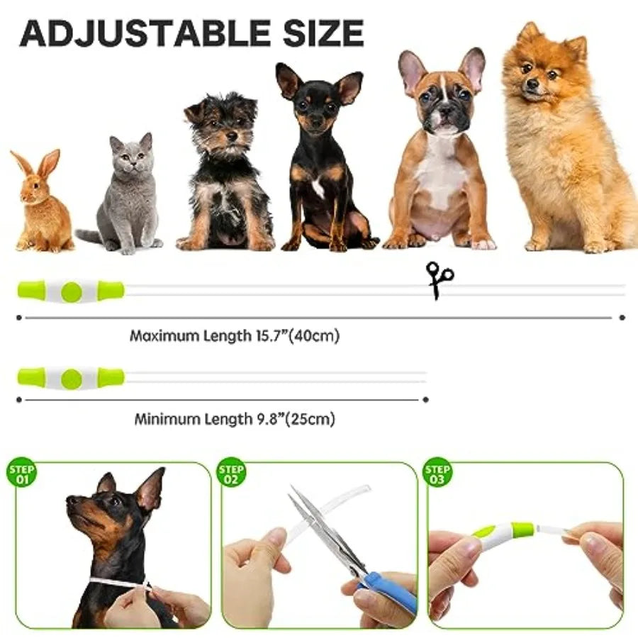 Light Up Dog Collar LED Glow TPU Rechargeable Pet Collar